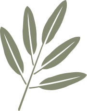 green sage leaf icon